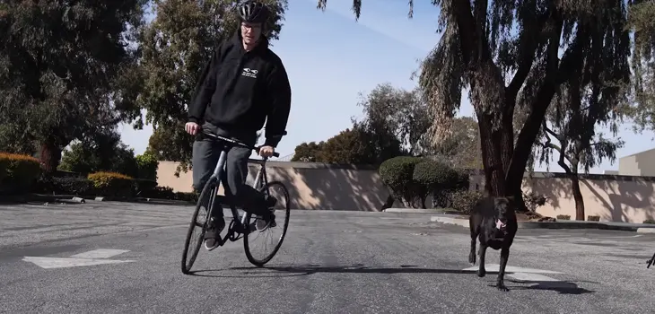 Fixed Gear Tricks; How To Wheelie And Skid on a Fixie Bike? How to Skid on a Fixie Gear Bike?