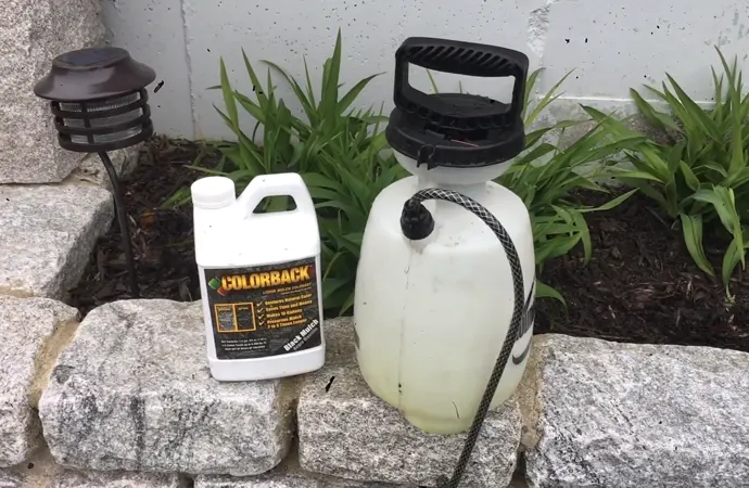 Frequently Asked Questions (FAQs) Frequently Asked Questions (FAQs)