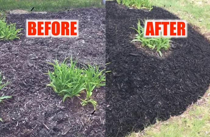 How to Choose the 'Best Mulch Color' for Old How to Choose the 'Best Mulch Color' for Old? (Buying Guide)