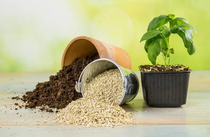 Mulch for Nutrients Mulch for Nutrients