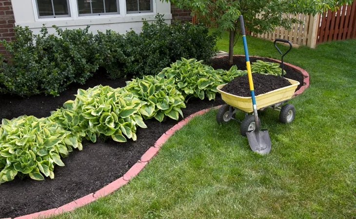Top Best Mulches What is the Best mulch?