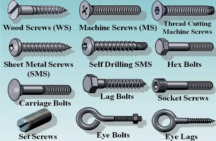 Types of Screws Types of Screws