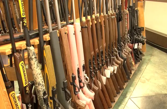  What Are Your Options If You’re Going to Rent a Gun?