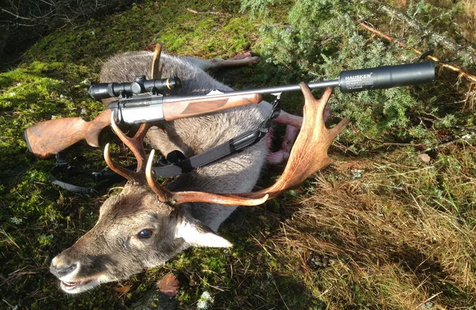 What Are the Rules Regarding Gun Rentals?