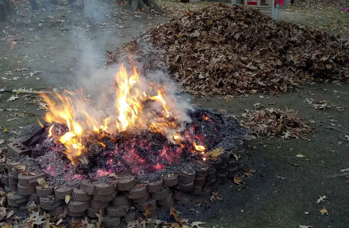 Is it bad to burn leaves?