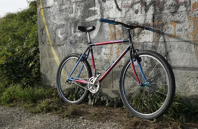 What is a Single-speed Bike What is a Single-speed Bike?